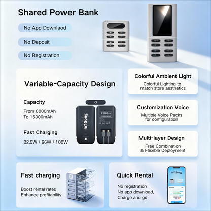 Shared Power Bank